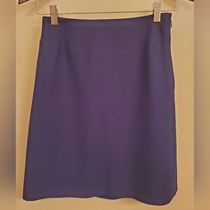 PETITE SOPHISTICATE navy suit skirt SIZE 4